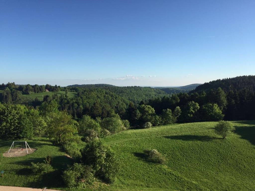 Ferienwohnung Weitblick 274 Hohegeiss Bagian luar foto